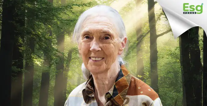 รูป ‘เจน กูดอลล์’ ผู้หญิงพลังบวก ผู้เป็นกระบอกเสียงแห่งธรรมชาติที่โลกต้องจดจำ