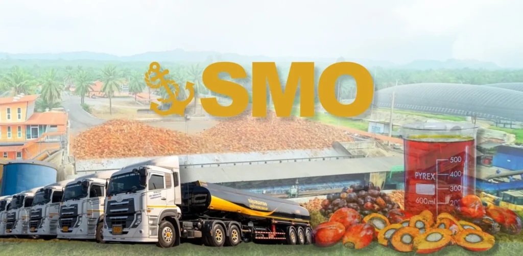 วิเคราะห์หุ้น SMO หุ้นน้ำมันปาล์มไทย โอกาสทองของนักลงทุนหลัง IPO