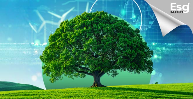 ทดสอบ 1.spscoops