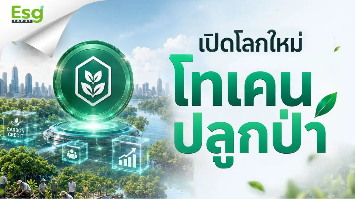 รูป เปิดโลกใหม่ระดมทุนโทเคนปลูกป่า เก็งกำไรจากฟอกอากาศสะอาดบนโลก