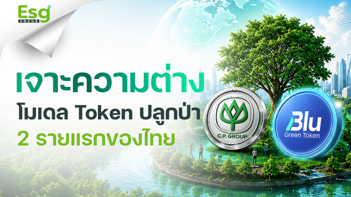เทียบมิติ 2 ผู้บุกเบิกไทย ระดมทุนToken เป็นสินทรัพย์สีเขียว 