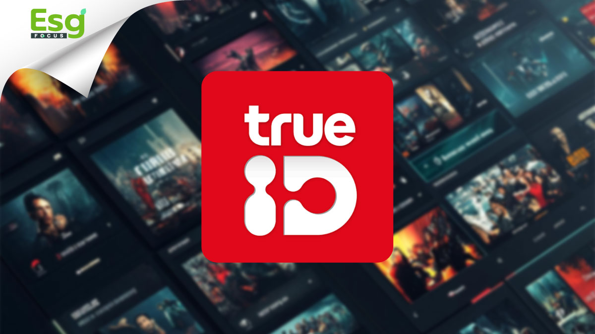 รูป TrueID วาง 9 กลยุทธ์ New S-curve คอนเทนท์ไทยโตยั่งยืน แก้เกมสงครามซีรีส์แนวตั้ง