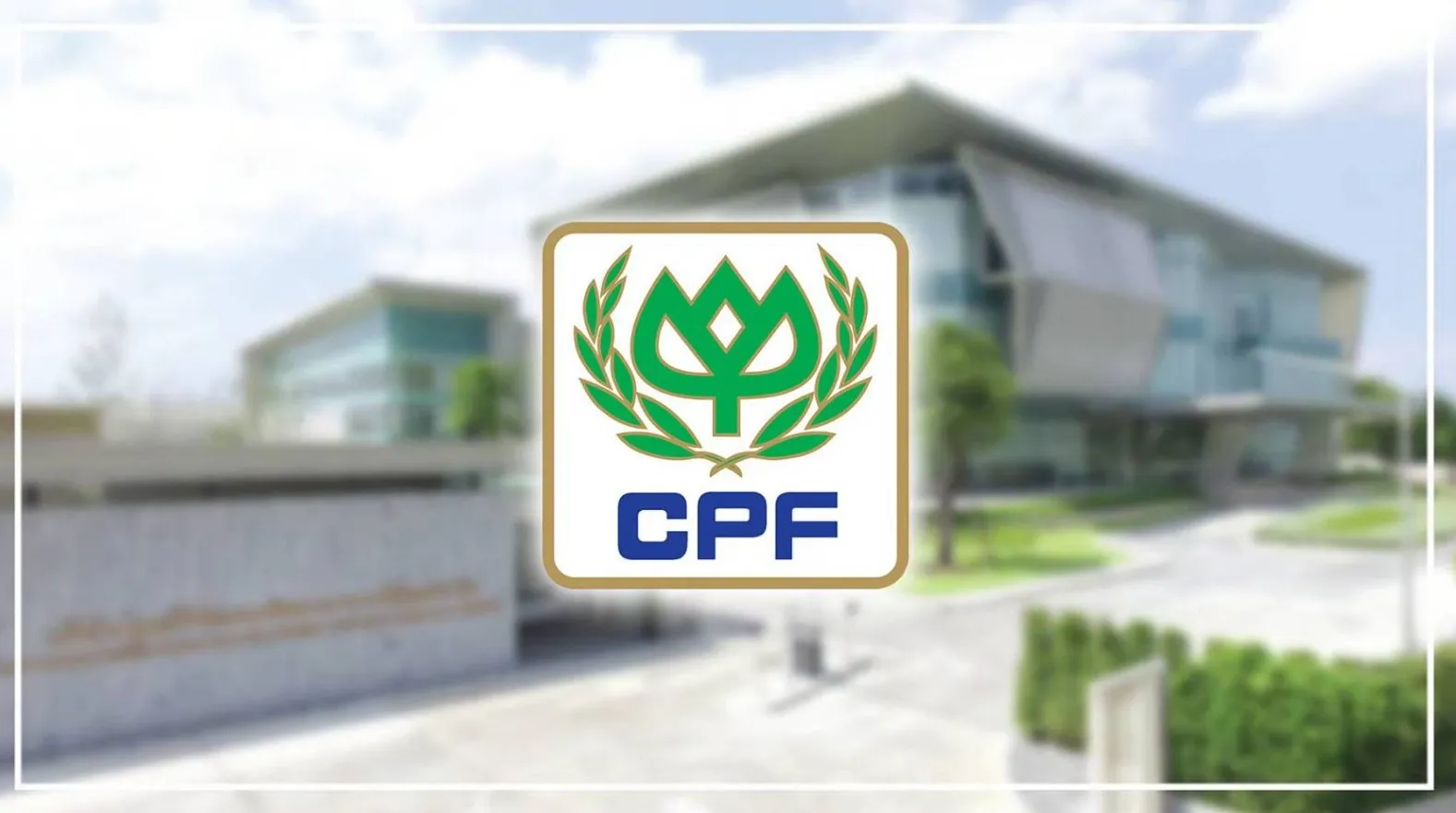 วิเคราะห์หุ้นหมูไก่ CPF BTG GFPT งบ Q1 โตแรง น่าไปต่อไหม? ส่องราคาเป้าหมาย