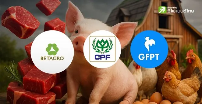 เจาะแนวโน้มหุ้นหมูและไก่ CPF BTG GFPT ในครึ่งหลังปี 68 กำไรจ่อพุ่ง 300%