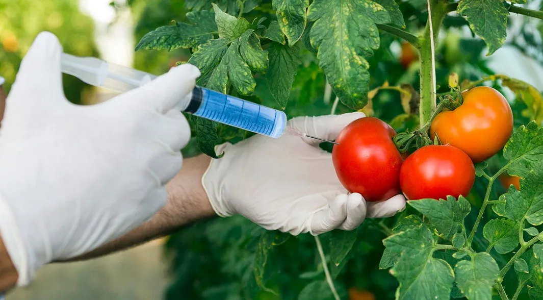 ทำไม ภาษีทรัมป์ 19% อาจต้องแลกมาด้วยสุขภาพคนไทยที่จะแย่ลง?