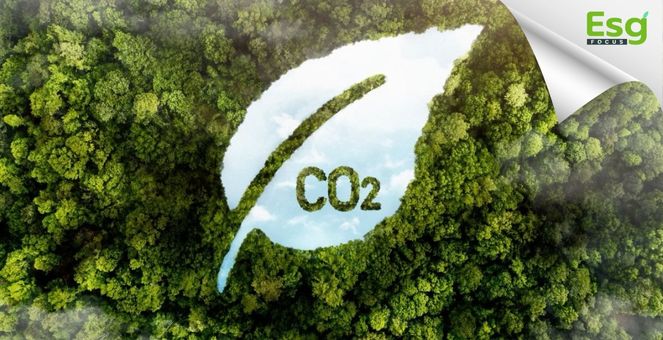 How to ทำเงินจาก”คาร์บอนเครดิต” อานิสงส์ผลบุญหยุดโลกเดือด 