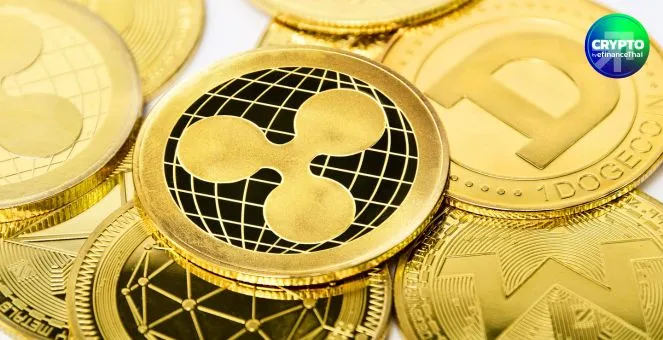 Solana, Litecoin และ HBAR ETF จ่อได้ไฟเขียวเปิดเทรดในสหรัฐฯ ภายในสัปดาห์นี้