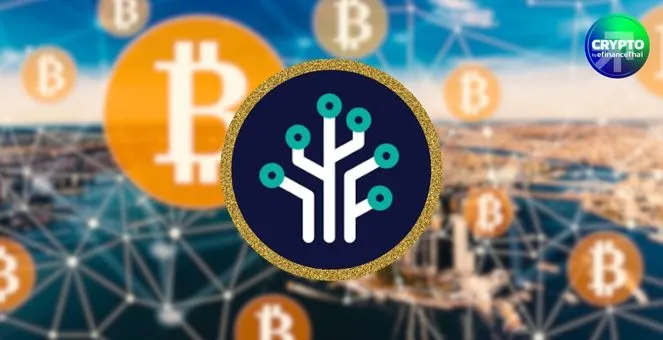 Merkle Capital ชี้! พ.ย. นี้เป็นจุดเปลี่ยน ตลาดคริปโทฯ จ่อฟื้น