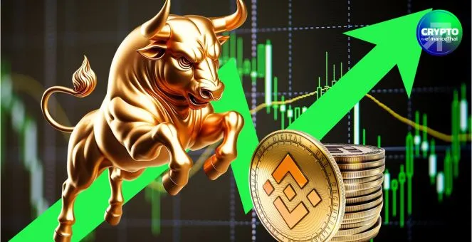 สรุปภาวะตลาด Crypto : BNB ทะยาน ขึ้นทำ ATH ใหม่ ที่ 804 ดอลลาร์ บวก 29% แล้วในเดือนนี้ 