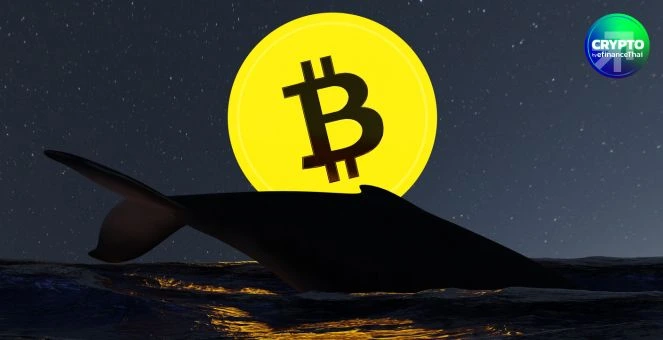 รูป กูรูคาดแรงขายบิตคอยน์ “ใกล้สะเด็ดน้ำ” หลังวันศุกร์อ่วมบิ๊กล็อต Galaxy 80,000 BTC จากวาฬยุคซาโตชิ 