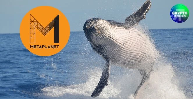 Metaplanet ฟาดเพิ่มอีก 463 BTC! ถือรวมทะลุ 17,595 BTC ยังครองอันดับ 7 โลก