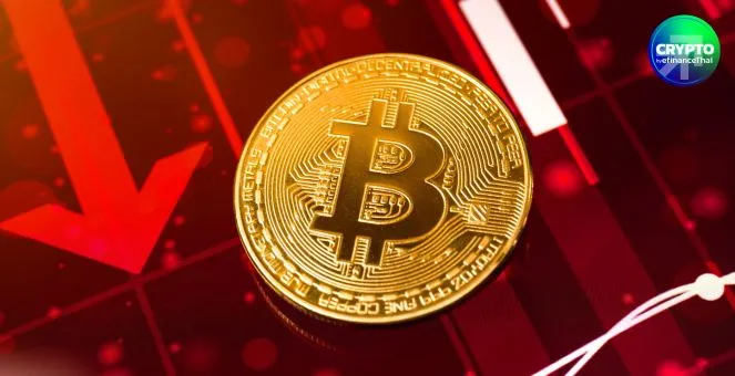 รูป สรุปภาวะตลาด Crypto : Long ไม่รอด! โดนล้างพอร์ตอีก มูลค่ากว่า $500M หลัง Bitcoin ดิ่ง $112k